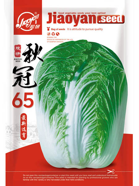秋冠65——秋播白菜